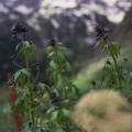 Colorado Western Slope